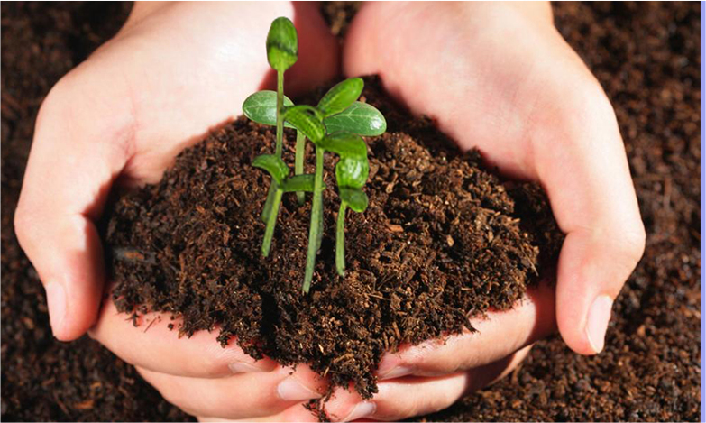 麻将胡了2(中国游)官方网站 - IOS/安卓通用版/手机APP下载